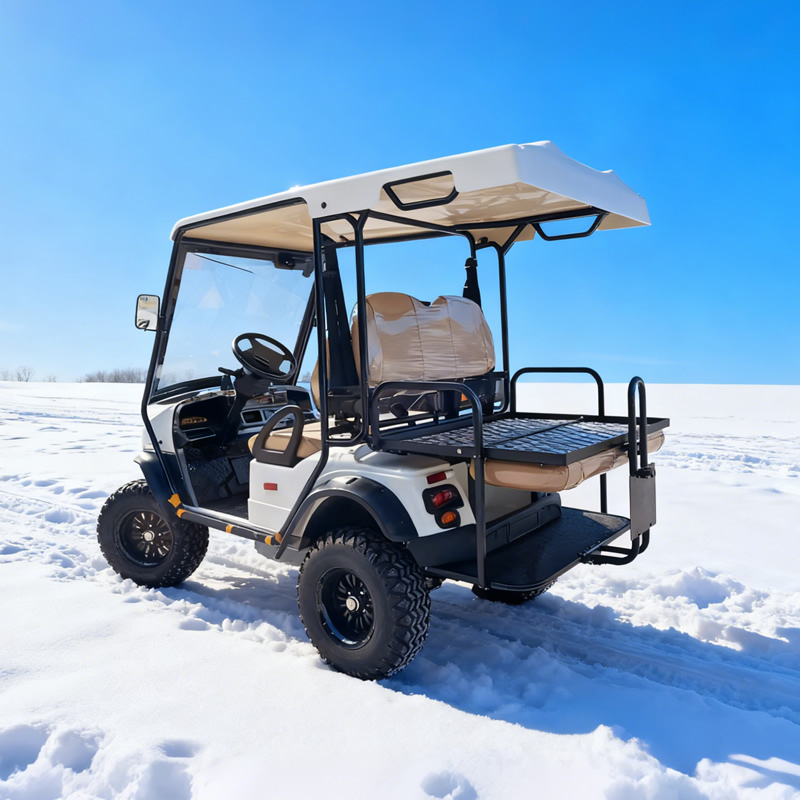 Wholesale Chinese 48V 2+2 Seat Off Road Golf Cart Manufacturer