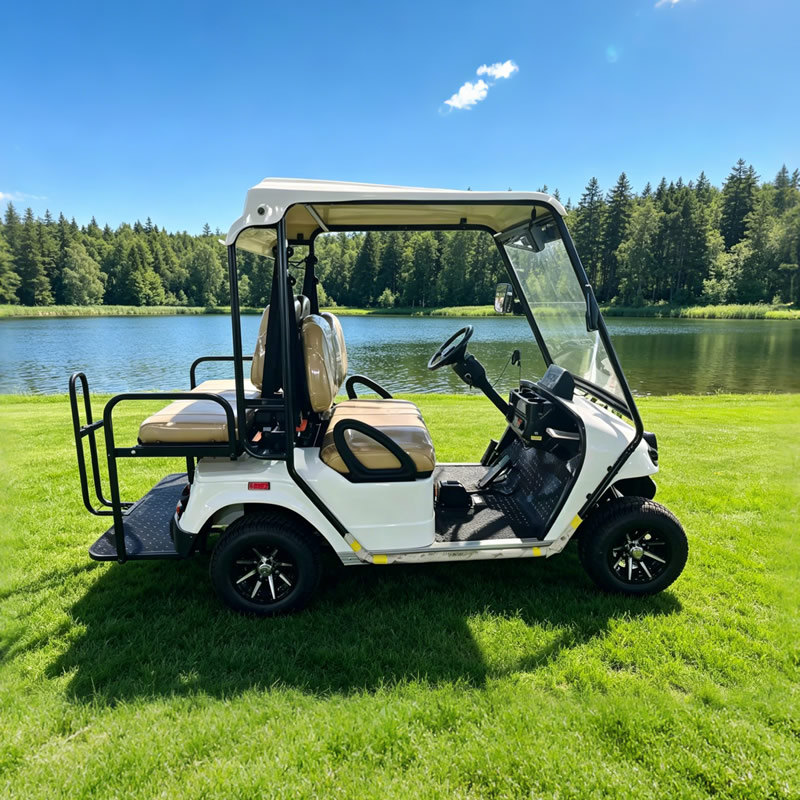 Premium 4-Seater Golf Cart - Factory Direct Supply