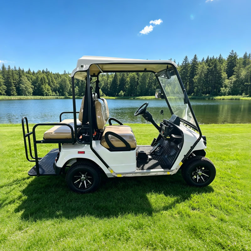 Premium 4-Seater Golf Cart - Factory Direct Supply