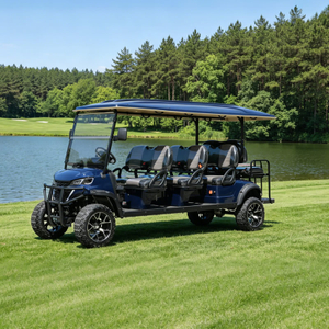 Custom Electric Lithium 6+2 8 Seater Passenger Golf Cart