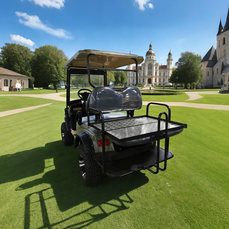 Custom 4 Seater Utility Vehicle Electric Buggy Off Road