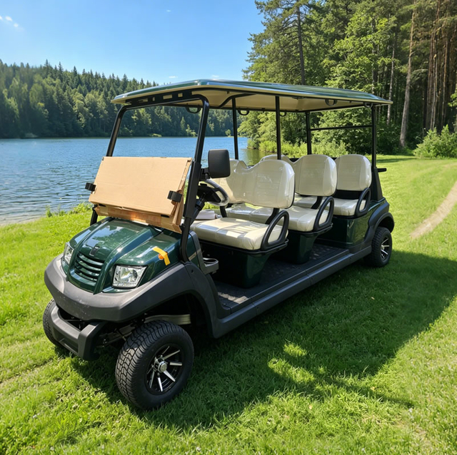 Carros Palos De Golf Electricos Nuevos Chinos Republica Dominicana Personalizados - Eagle Golf Cart