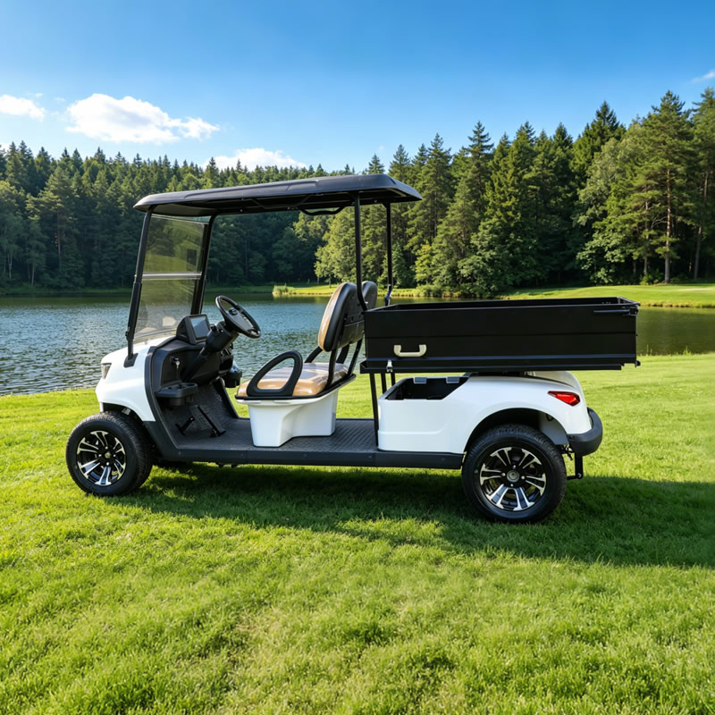 Utility Golf Carts Buggy with Cargo Box - Eagle Golf Cart