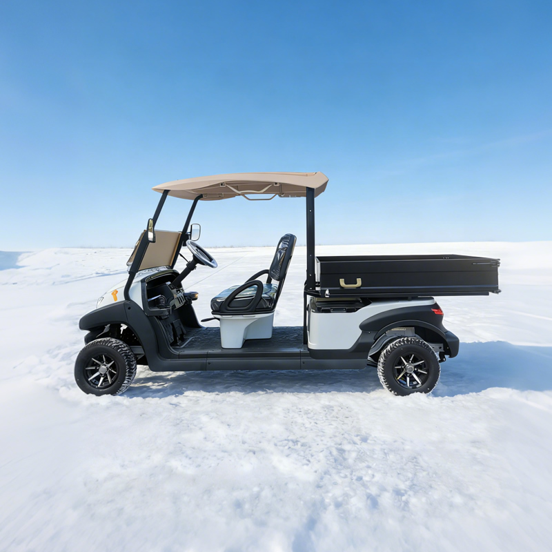 Custom Golf Cart Utility Bed with Cargo Box For Sale - Eagle Golf Cart