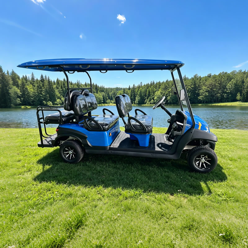 4+2 6 seater battery electric golf cart - Eagle Golf Cart