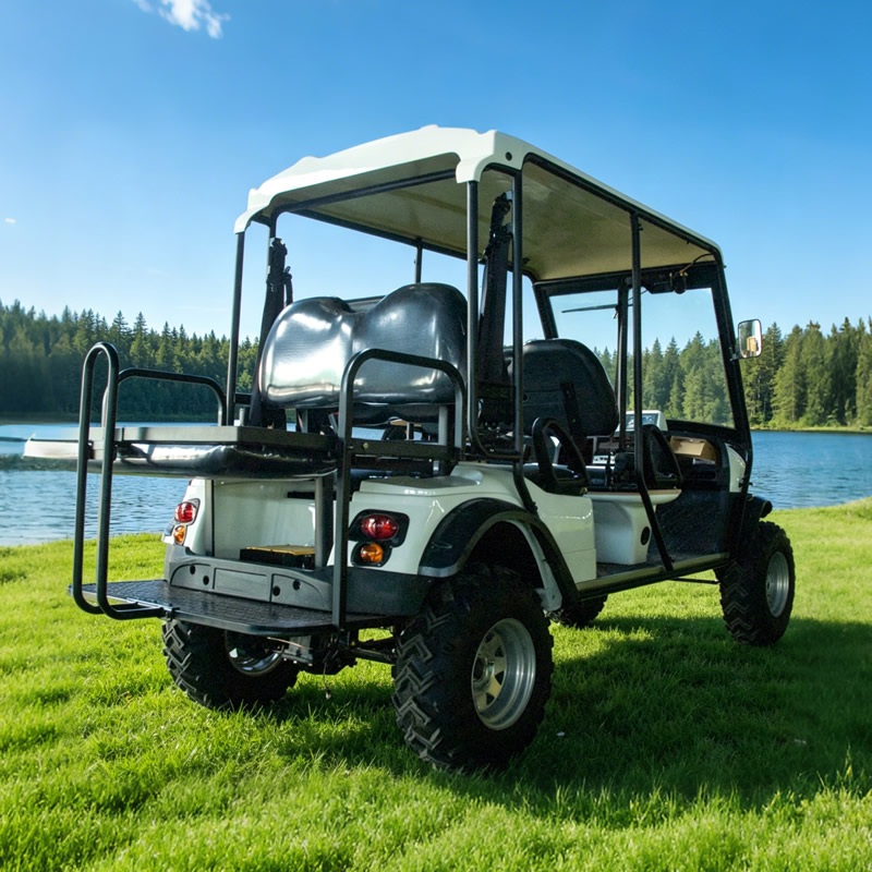 Street Legal Electric Golf Cart - Eagle Golf Cart