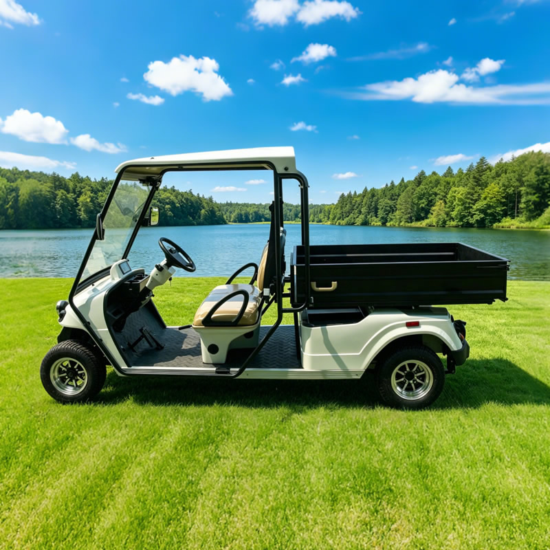 Custom Electric Street Legal Cargo Golf Carts with Box - Eagle Golf Cart