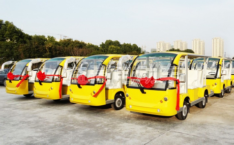 eagle-sightseeing-car.jpg