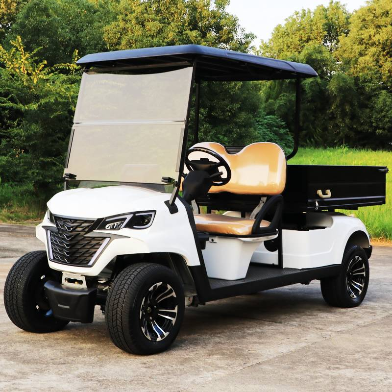 Utility golf carts buggy with cargo box EG204EHCX