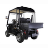 Custom Mimi Electric Golf Cart Buggy Off Road With Box - 2028HR