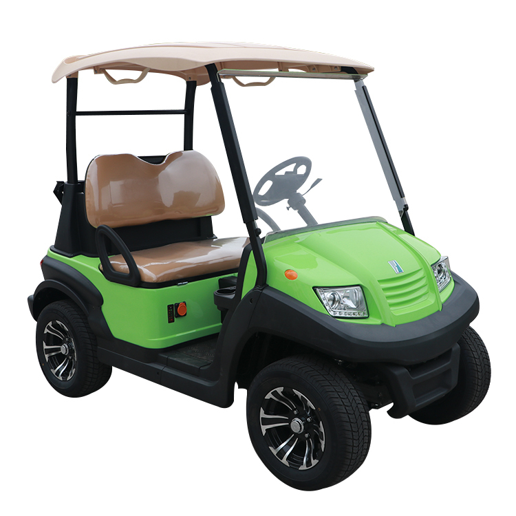 Custom Best 48V Mini Farm Electric Battery Lithium Golf Cart