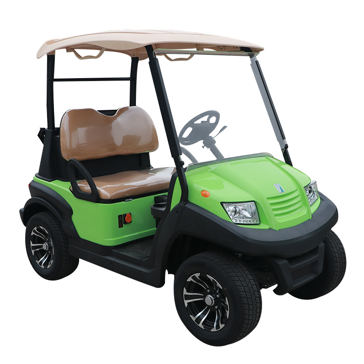 Custom Best 48V Mini Farm Electric Battery Lithium Golf Cart