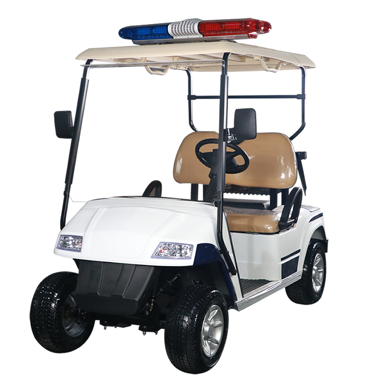 Wholesale Battery Patrol Golf Cart Petrol Golf Buggy Manufacturer - EG2028P