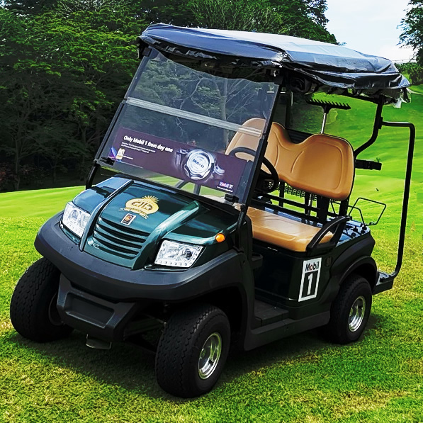custom mini 2 seat golf cart