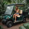 China Mini 2 Seater Electric Hunting Offroad Golf Off Road Buggy 