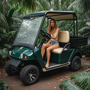 China Mini 2 Seater Electric Hunting Offroad Golf Off Road Buggy 
