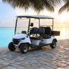 48v 4 seater golf cart with cargo box
