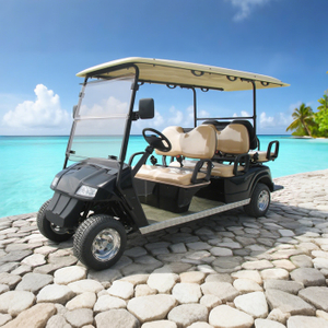 OEM ODM Chinese 48v Electric Custom Lithium Battery 6 Seater Golf Cart - Eagle Golf Cart