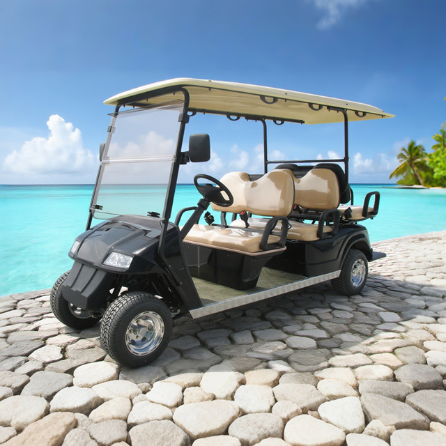 OEM ODM Chinese 48v Electric Custom Lithium Battery 6 Seater Golf Cart - Eagle Golf Cart