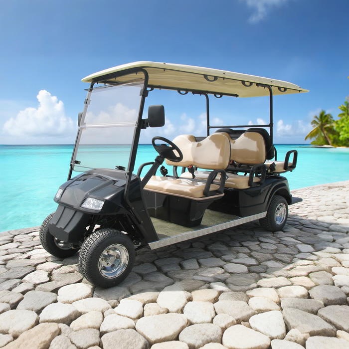 OEM ODM Chinese 48v Electric Custom Lithium Battery 6 Seater Golf Cart - Eagle Golf Cart