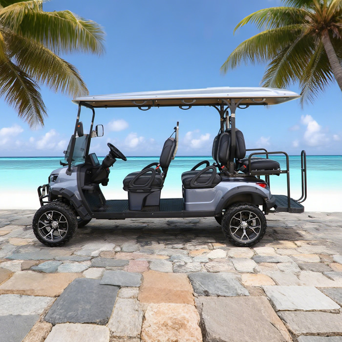 Custom Lithium Battery 48v Six 6 Seater Wholesale Golf Carts