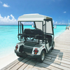 Custom Electric Street Legal Golf Carts Buggy