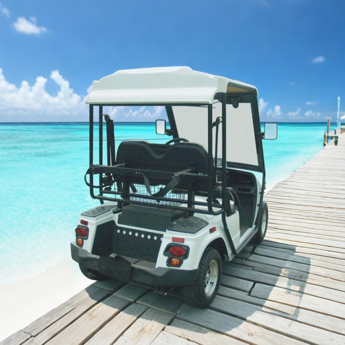 Custom Electric Street Legal Golf Carts Buggy