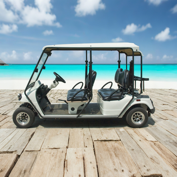 Custom Street Legal Electric Golf Cart