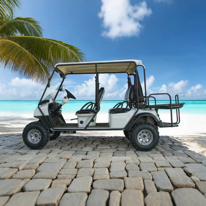 Street Legal Electric Golf Cart