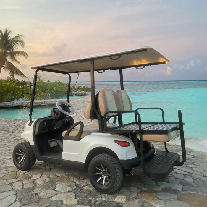 Luxury 4 Seater Golf Cart Electric - EG202EKSZ