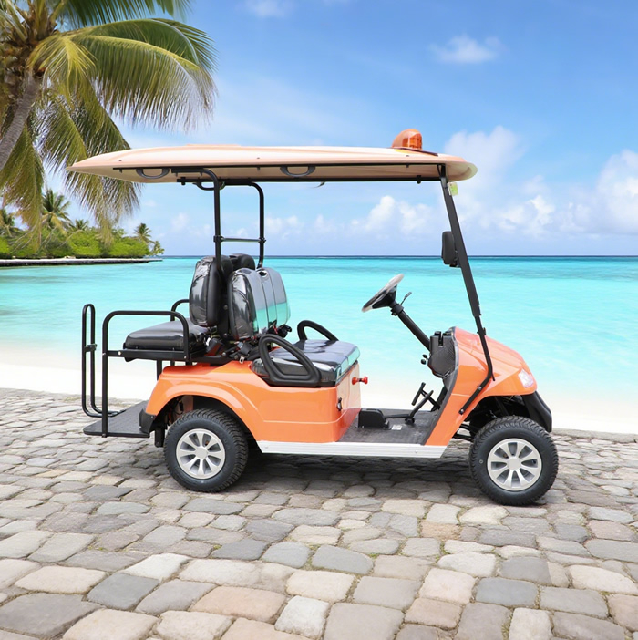 Custom Chinese 2 Seater Mini Golf Carts