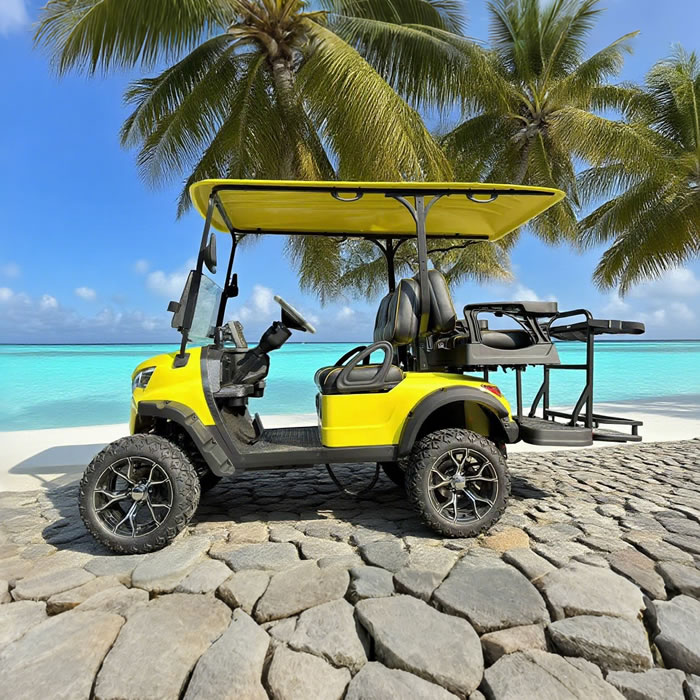 Luxury lifted utility 2+2 4 person seater golf cart