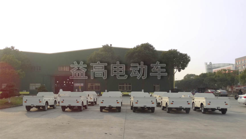 Electric freight vehicles from Pakistan have been dispatched