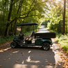 Heavy-Duty 2 Seater Utility Golf Cart with Cargo Box | China Factory Direct