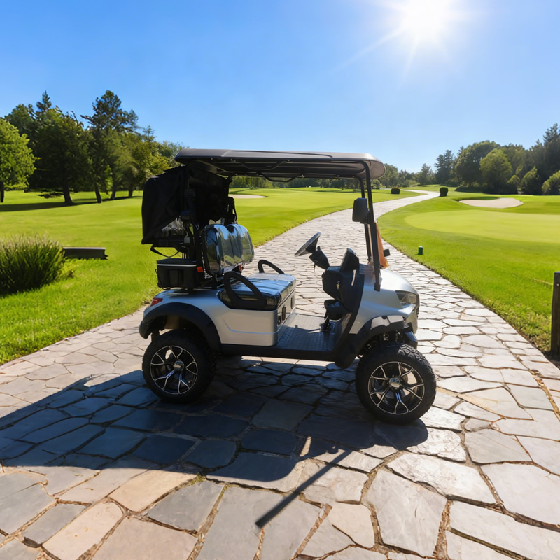 Custom 2 Person Electric Golf Cart