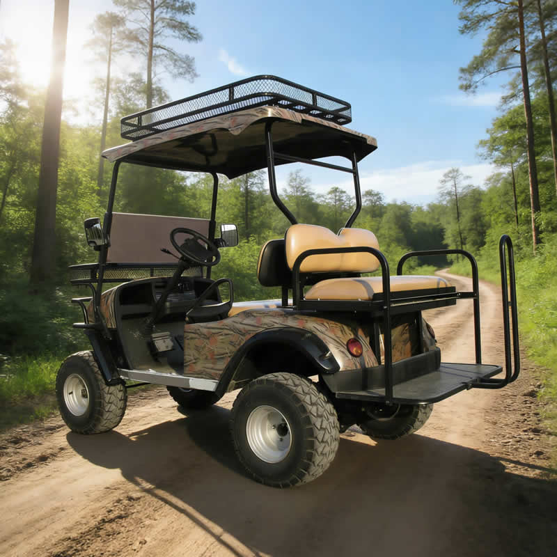 Top Manufacturer Electric Off Road Hunting Offroad Buggy Vehicle
