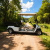 Utility Cargo Truck Golf Cart with Box
