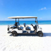 Wholesale 4 Seater Electric Golf Cart Manufacturer | Factory Direct Price