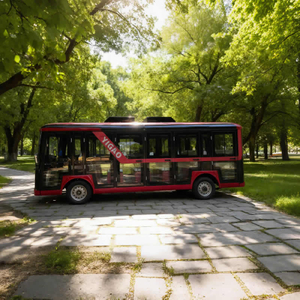 Electric Sightseeing Enclosed Mini Bus
