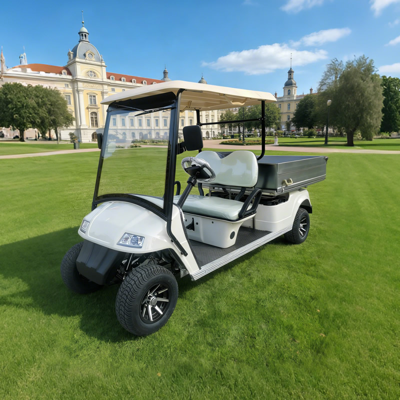 Golf Cart with Stainless steel Cargo Dump Bed