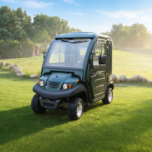 Enclosed 4 Wheel Electric Mobility Scooter, Mini Electric Car for Adult, China Manufacture