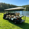 Eight 8 Passenger Person Seater Electric Buggy Golf Carts for Sale - Eagle Golf Cart