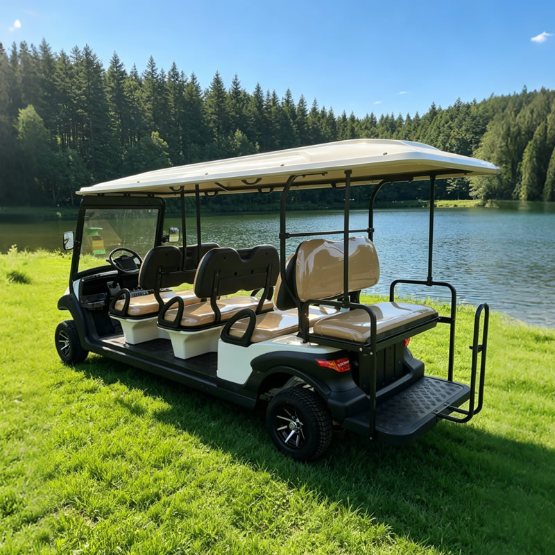 Eight 8 Passenger Person Seater Electric Buggy Golf Carts for Sale - Eagle Golf Cart