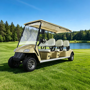 Custom Vehicle Sightseeing Bus Car 6 Passenger Person Seat Electric Golf Cart - Eagle Golf Cart