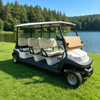 Electric 6 Seat Passenger Golf Car Price in Egypt - Eagle Golf Cart