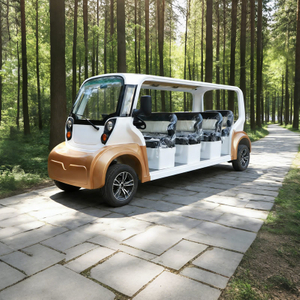 OEM ODM 14 Seats Electric Shuttle Sightseeing Bus - Eagle Golf Cart