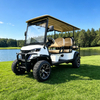 Wholesale Sightseeing Lifted 6 Seater Golf Cart Buggy for Hotels
