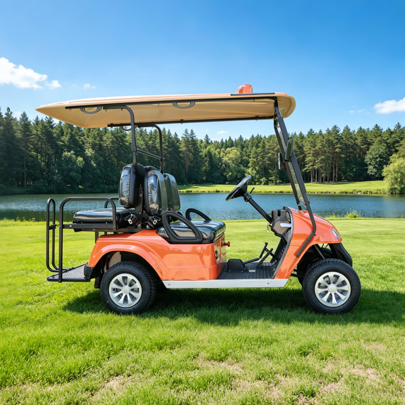 Custom Chinese 2 Seater Mini Golf Carts - Eagle Golf Cart