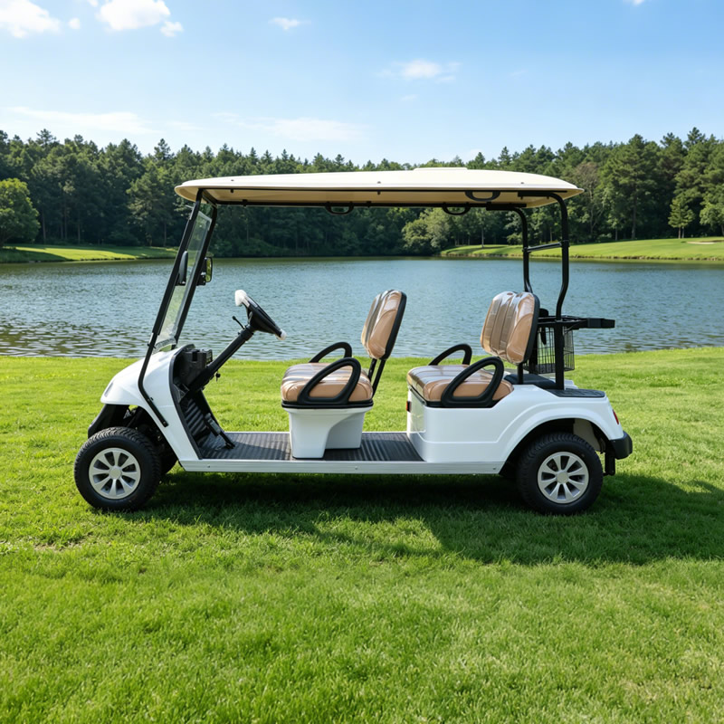 Custom High Quality Electric Lithium Battery Golf Cart for Sale - Eagle