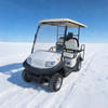 48v utility 2 + 2 4 seater golf carts - Eagle Golf Cart